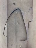 Fracture